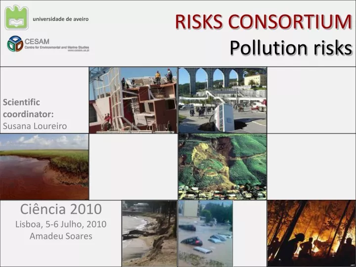 risks consortium pollution risks