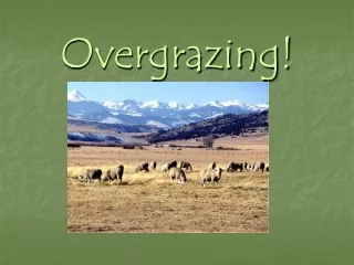 Overgrazing!