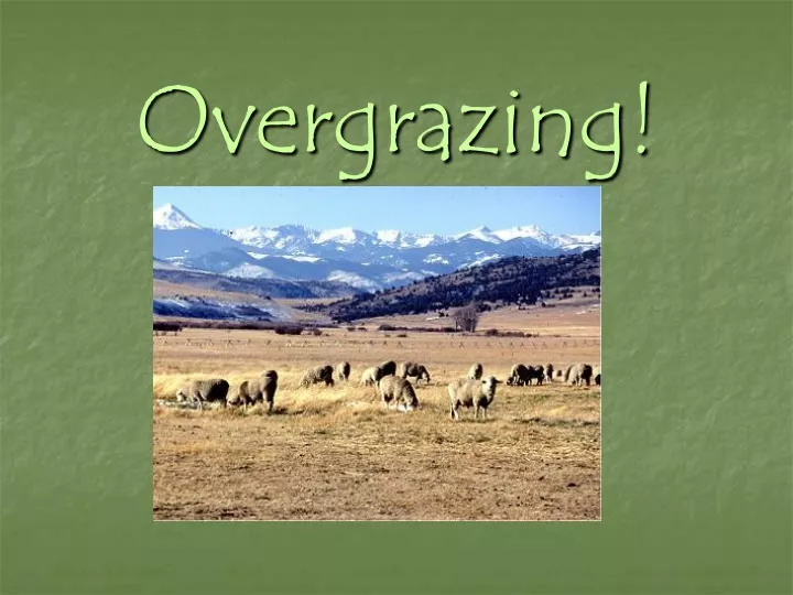 overgrazing