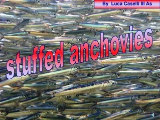 stuffed anchovies
