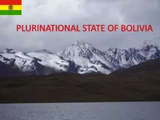 PLURINATIONAL  STATE OF BOLIVIA
