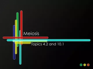 Meiosis