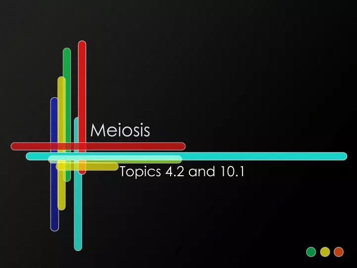 meiosis