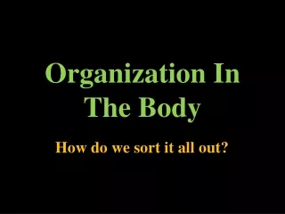 Organization In The Body