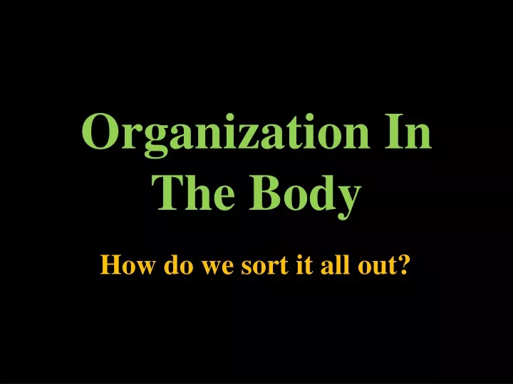 organization in the body