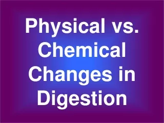 Physical vs. Chemical Changes in Digestion