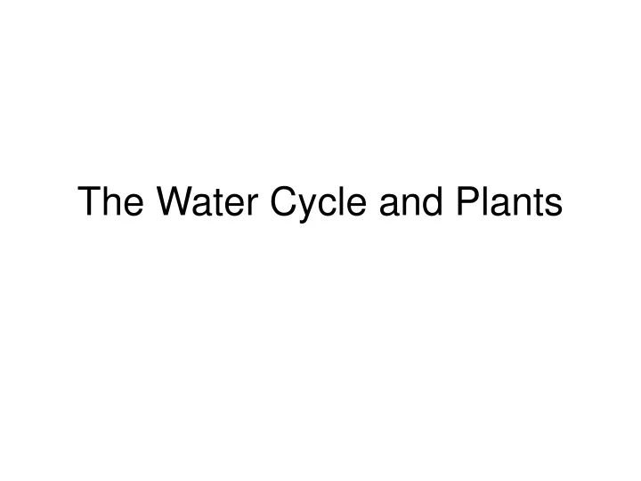 the water cycle and plants