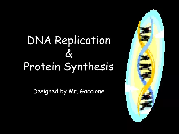 dna replication protein synthesis designed
