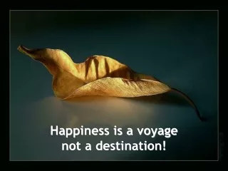 Happiness is a voyage not a destination!