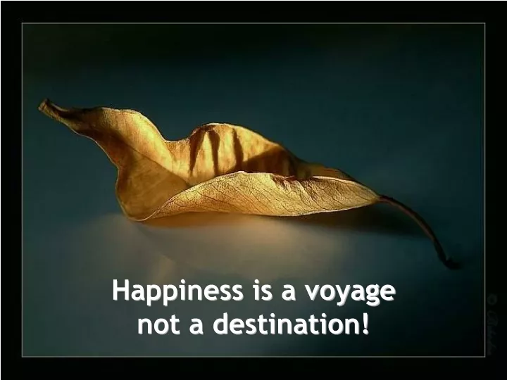 happiness is a voyage not a destination