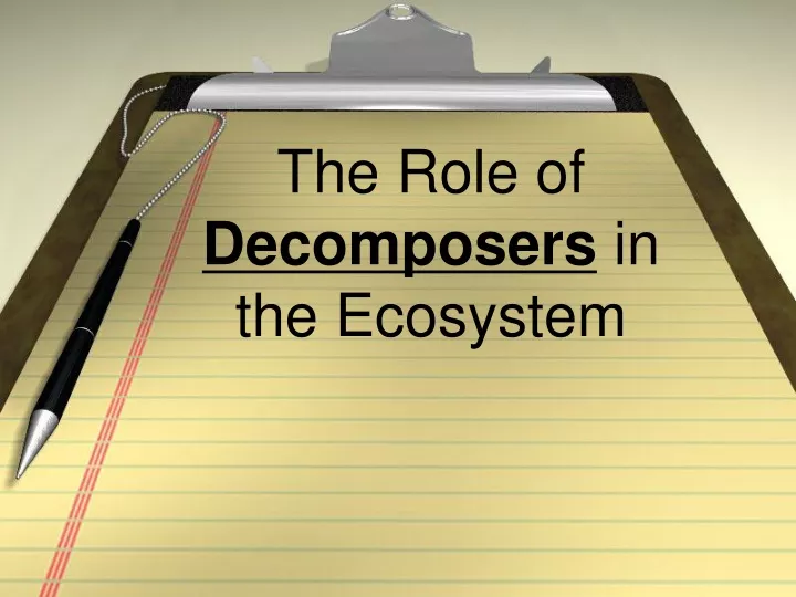 the role of decomposers in the ecosystem