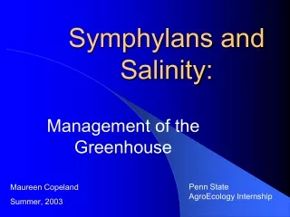 Symphylans and Salinity: