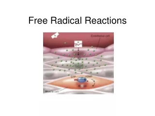 Free Radical Reactions