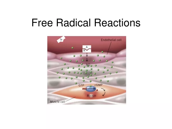 free radical reactions