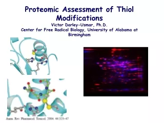 Proteomic Assessment of Thiol Modifications Victor Darley-Usmar, Ph.D.