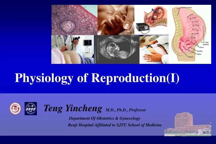 physiology of reproduction i