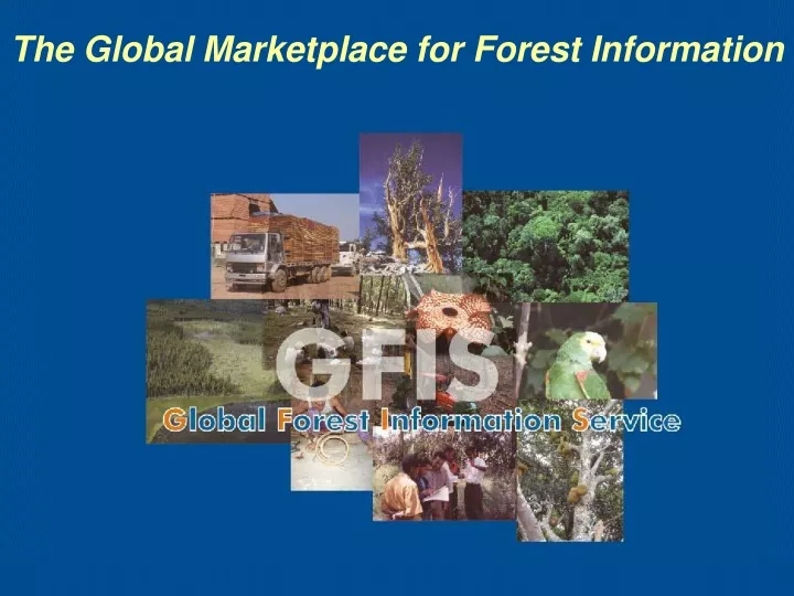 the global marketplace for forest information