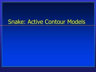 Snake: Active Contour Models