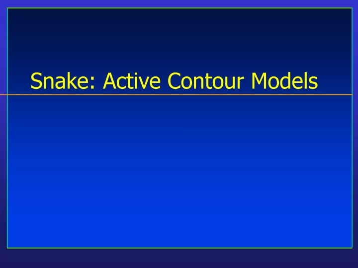 snake active contour models