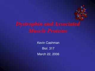Dystrophin and Associated Muscle Proteins