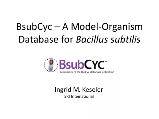BsubCyc – A Model-Organism Database for  Bacillus subtilis