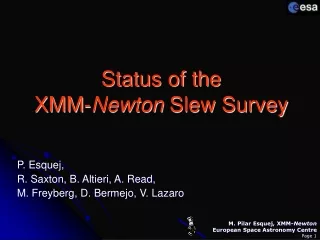 Status of the  XMM- Newton  Slew Survey