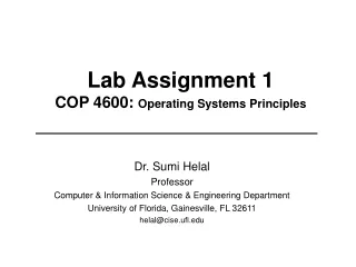 Lab Assignment 1 COP 4600:  Operating Systems Principles