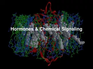 Hormones &amp; Chemical Signaling