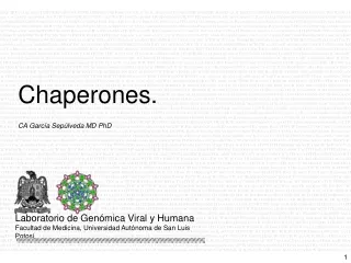 CA García Sepúlveda MD PhD