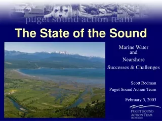 The State of the Sound