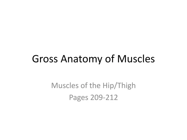 gross anatomy of muscles