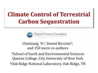 Climate Control of Terrestrial Carbon Sequestration