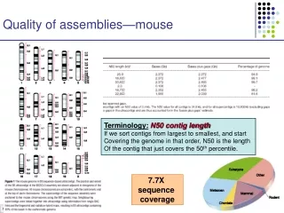 Quality of assemblies—mouse