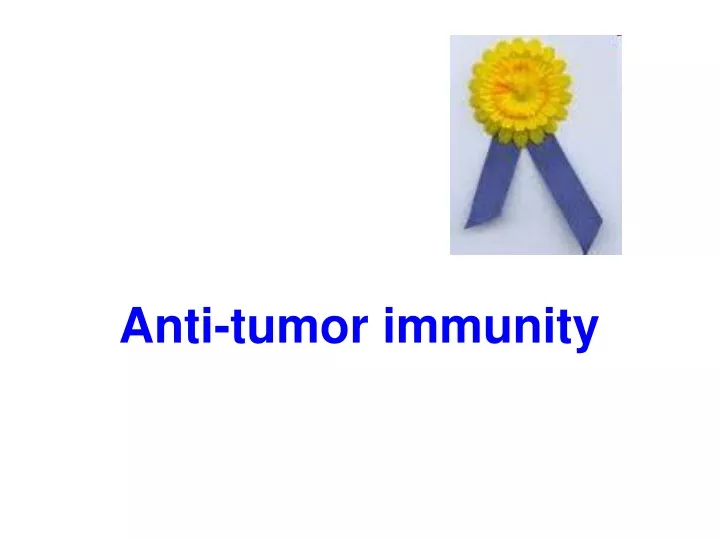 anti tumor immunity