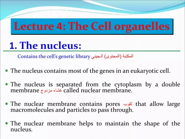 1 the nucleus contains the cell s genetic library