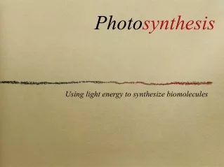 Using light energy to synthesize biomolecules