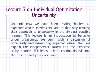 Lecture 3 on Individual Optimization Uncertainty