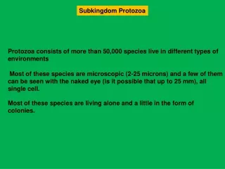 Subkingdom Protozoa