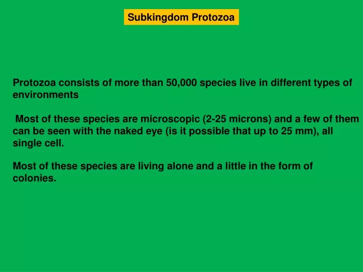 subkingdom protozoa