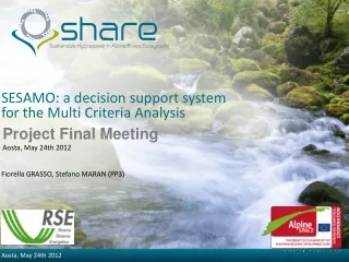 SESAMO: a decision support system for the Multi Criteria Analysis