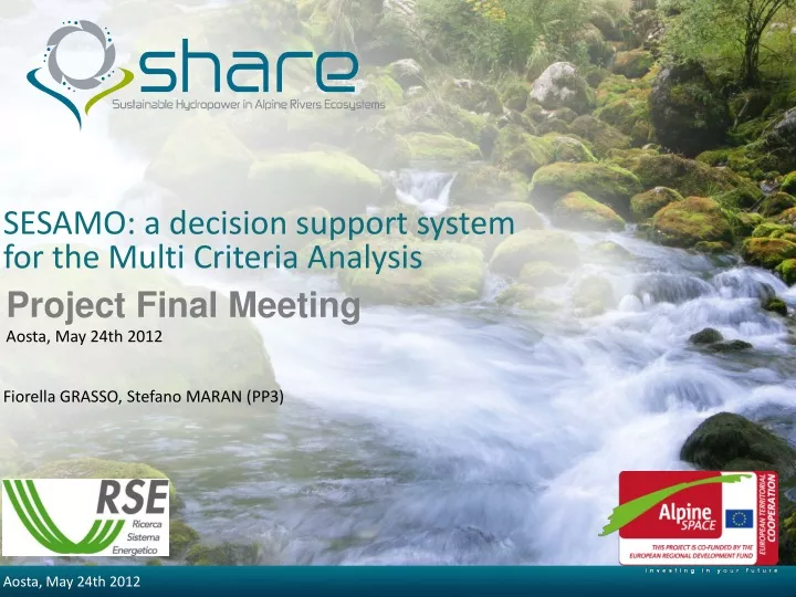 sesamo a decision support system for the multi criteria analysis