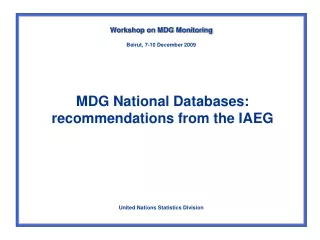 MDG National Databases: recommendations from the IAEG