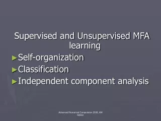 Supervised and Unsupervised MFA learning Self-organization Classification
