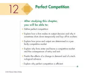What Is Perfect Competition?