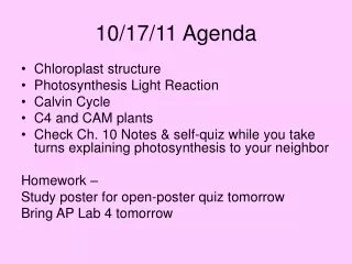 10/17/11 Agenda