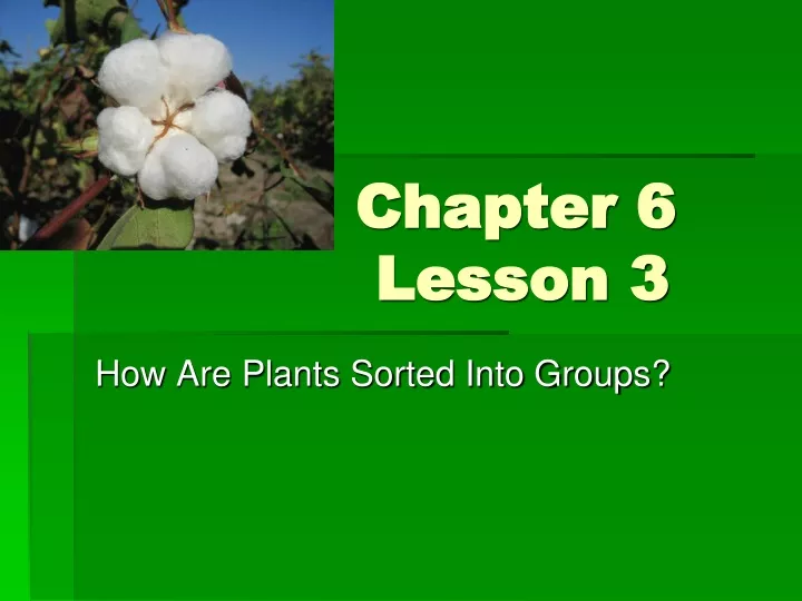 chapter 6 lesson 3