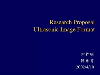 Research Proposal Ultrasonic Image Format