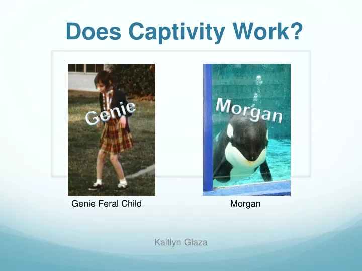 does captivity work