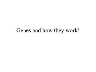 Genes and how they work!