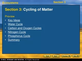 Section 3:  Cycling of Matter